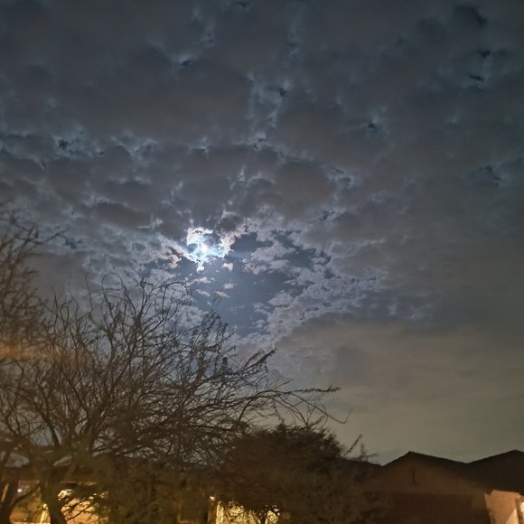 Meet your Posher, Cathy - Picture 1 of 1